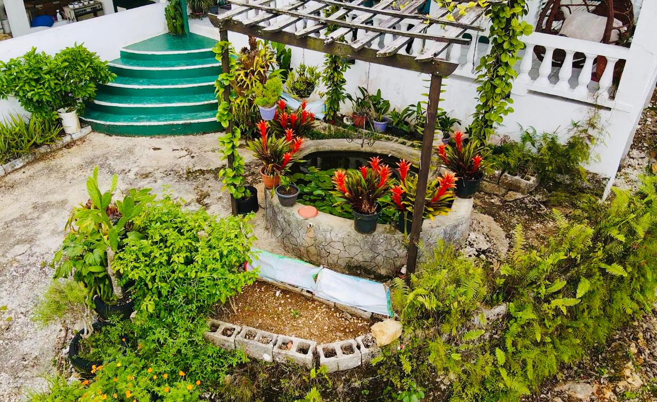 Fifth image of Hampton Dist |plum Tree in Hopeton, St. James, Jamaica - property is For Sale