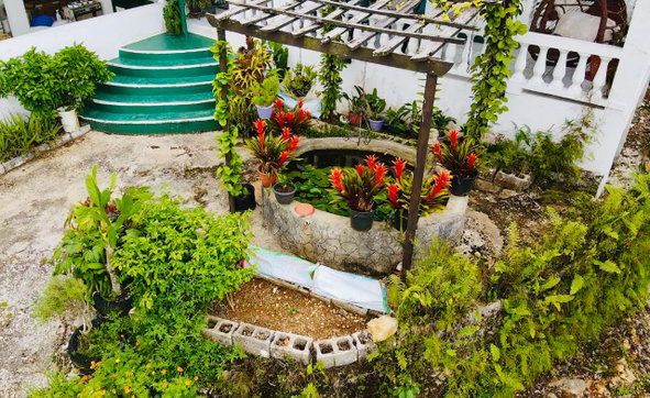 Fifth image of Hampton Dist |plum Tree in Hopeton, St. James, Jamaica - property is For Sale