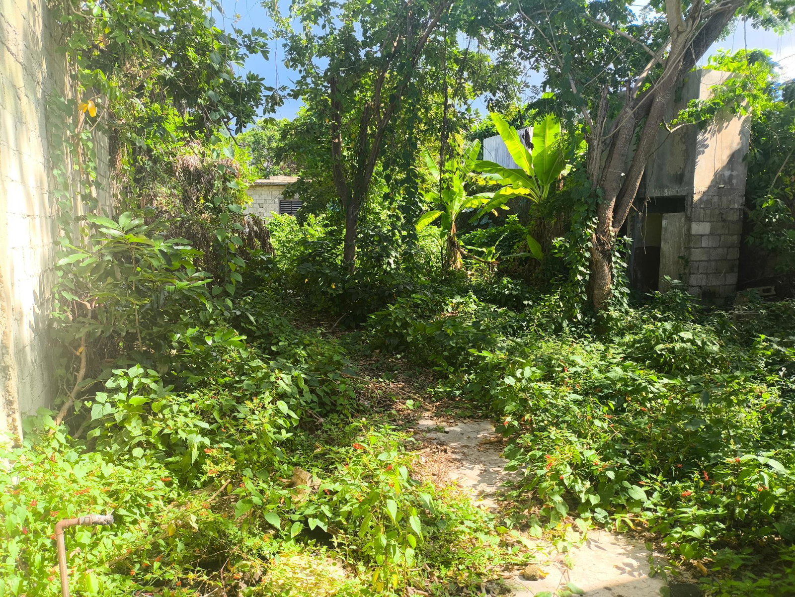 Third image of Westend Road in Negril, Westmoreland, Jamaica - property is For Sale