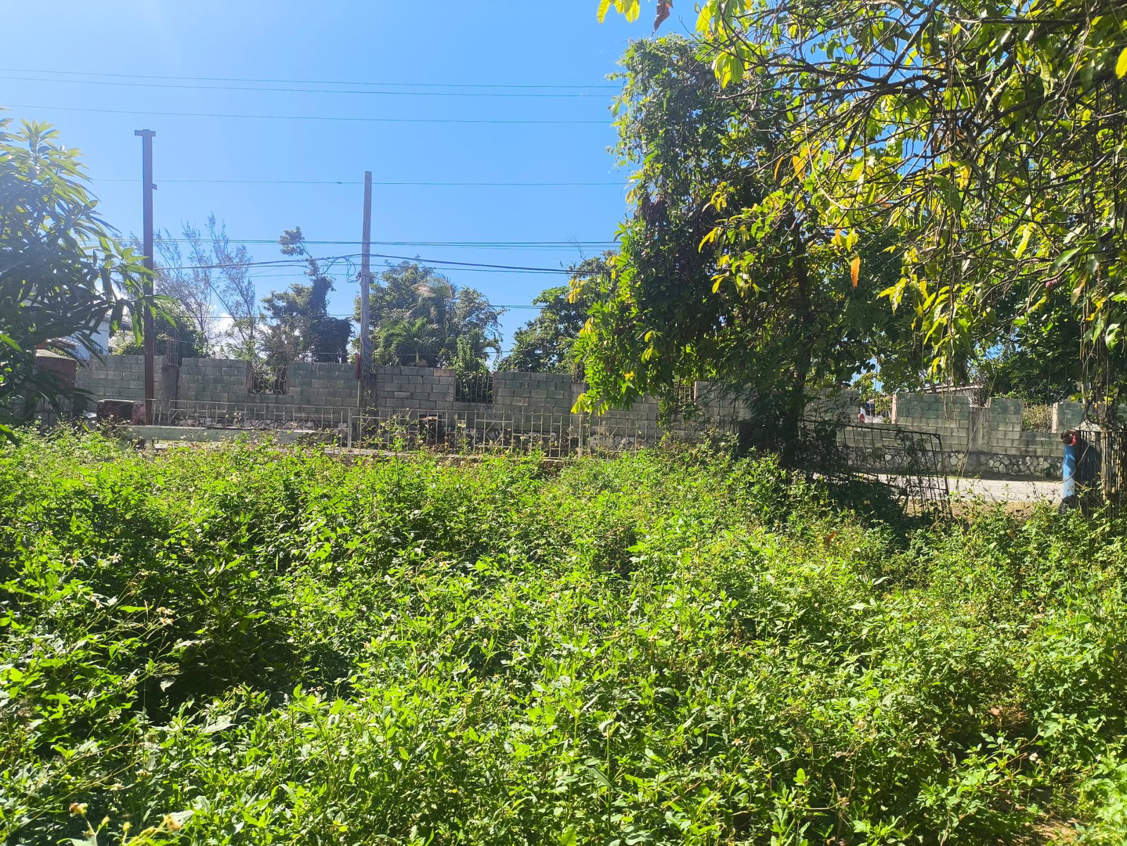 Sixth image of Westend Road in Negril, Westmoreland, Jamaica - property is For Sale