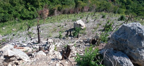First image of Lot 97 Santa Cruz Road, Albion h in Albion, St. Thomas, Jamaica - property is For Sale