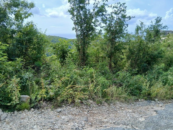Fifth image of Lot 97 Santa Cruz Road, Albion h in Albion, St. Thomas, Jamaica - property is For Sale