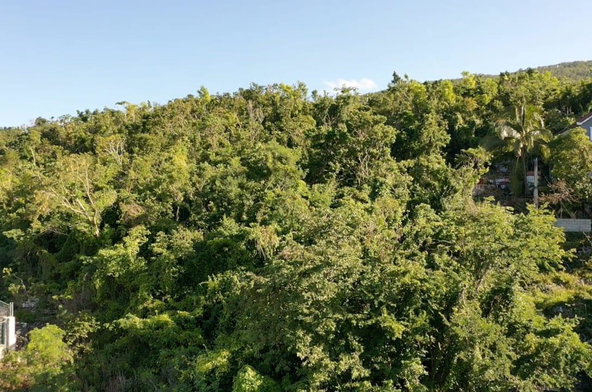 Seventeenth image of Montpelier Gutters in Pepper, St. Elizabeth, Jamaica - property is For Sale