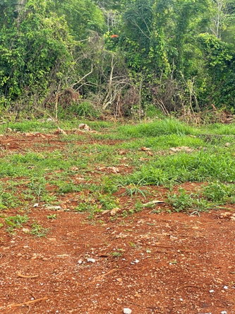 Fourth image of 4 Marshall Crescent, May da in Mandeville, Manchester, Jamaica - property is For Sale