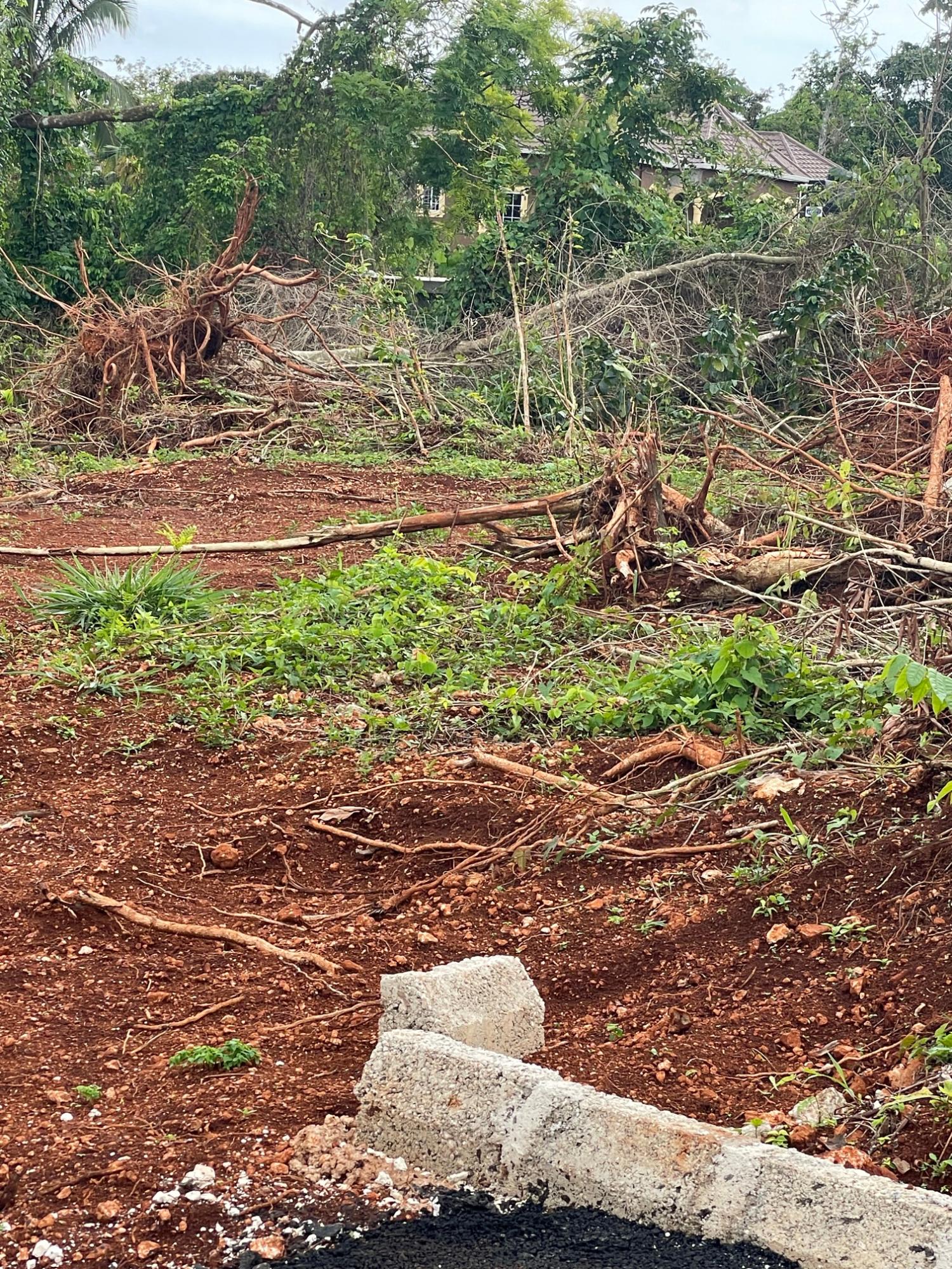 Fifth image of 4 Marshall Crescent, May da in Mandeville, Manchester, Jamaica - property is For Sale
