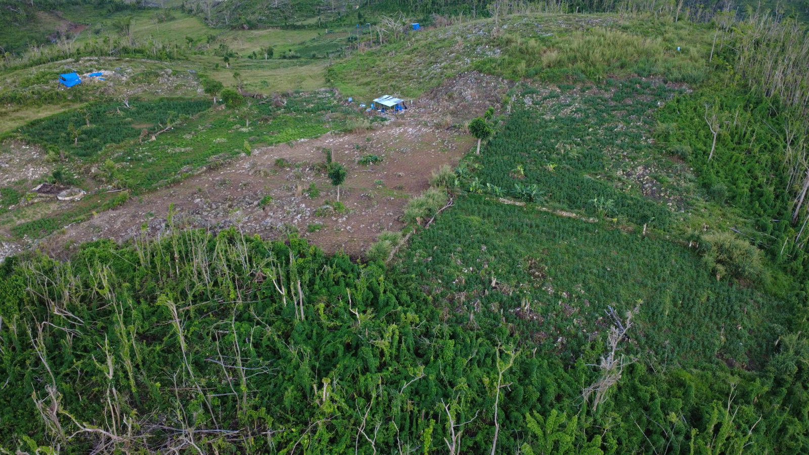 Third image of Kilmarnock in Kilmarnoch, St. Elizabeth, Jamaica - property is For Sale