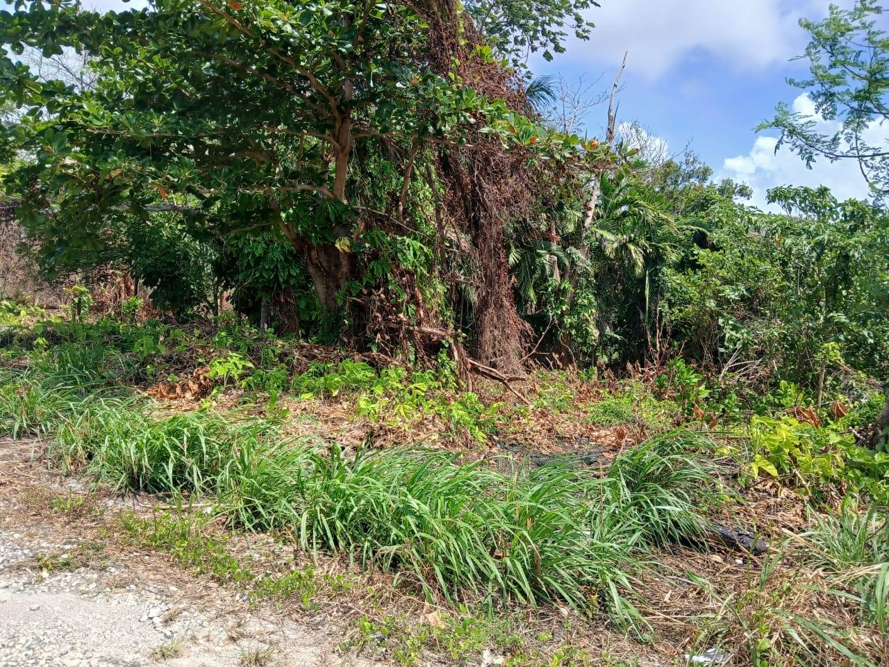 Fifth image of 275 Giradet Terrace in Ironshore, St. James, Jamaica - property is For Sale
