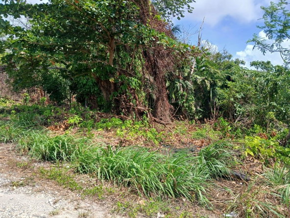 Fifth image of 275 Giradet Terrace in Ironshore, St. James, Jamaica - property is For Sale
