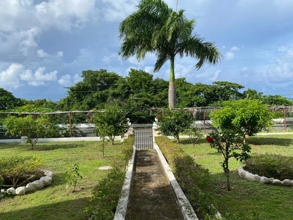 Seventeenth image of 8 Doctor Herbert Swaby Ave in Tower Isle, St. Mary, Jamaica - property is For Sale