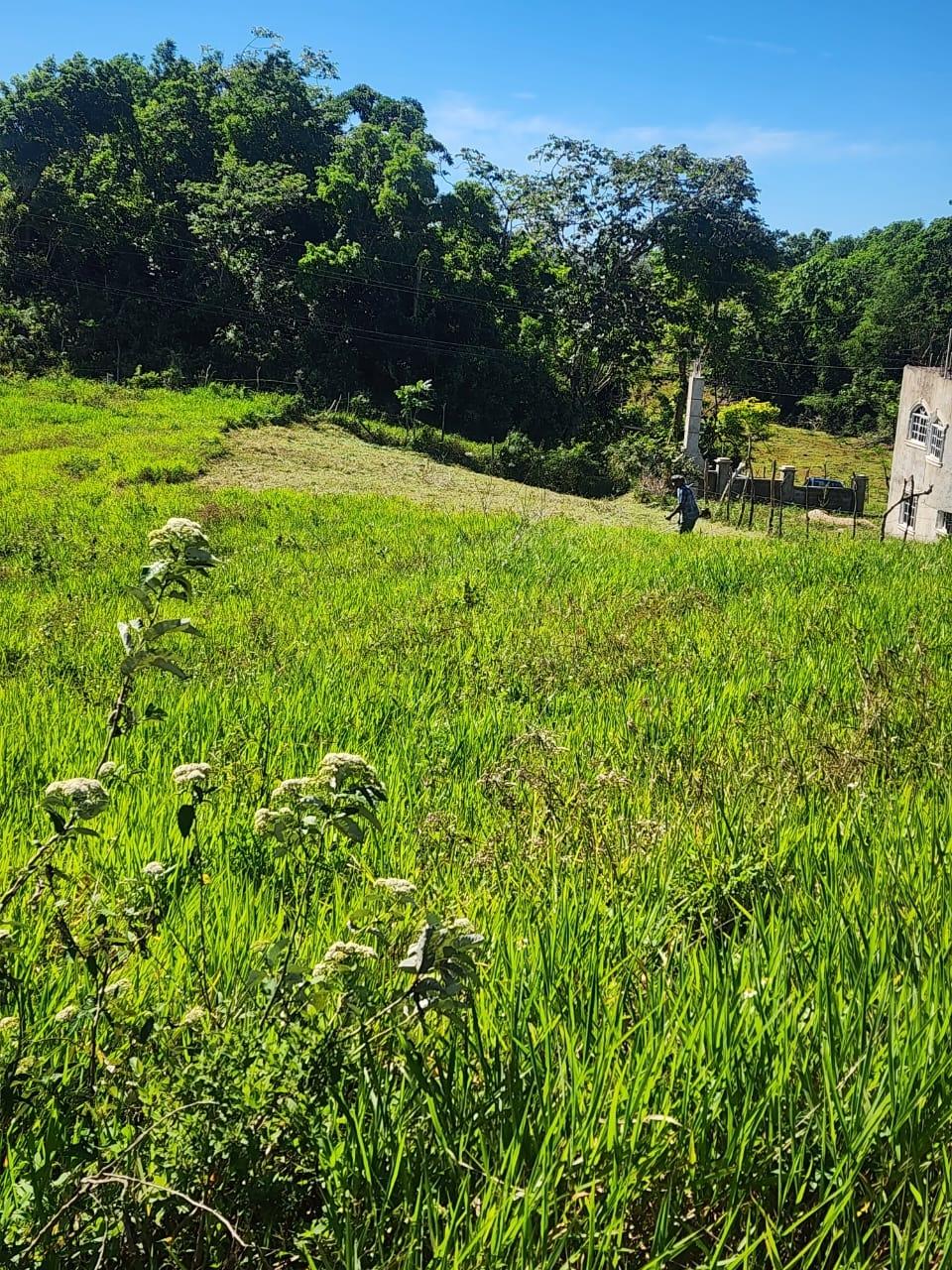 Second image of 10 Lamb Town Knock Patrick in Mandeville, Manchester, Jamaica - property is For Sale