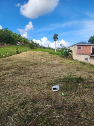 Fifth image of 10 Lamb Town Knock Patrick in Mandeville, Manchester, Jamaica - property is For Sale