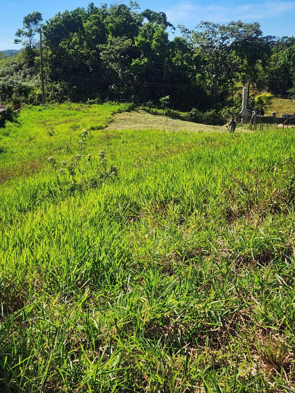 Sixth image of 10 Lamb Town Knock Patrick in Mandeville, Manchester, Jamaica - property is For Sale