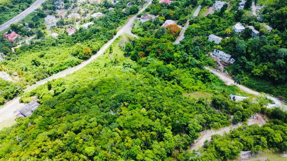 Fifth image of Bogue Heights in Bogue, St. James, Jamaica - property is For Sale