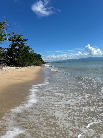 Eighth image of 1 Old Hope, Little London in Good Hope, Westmoreland, Jamaica - property is For Sale