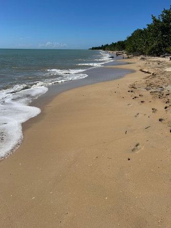 Ninth image of 1 Old Hope, Little London in Good Hope, Westmoreland, Jamaica - property is For Sale