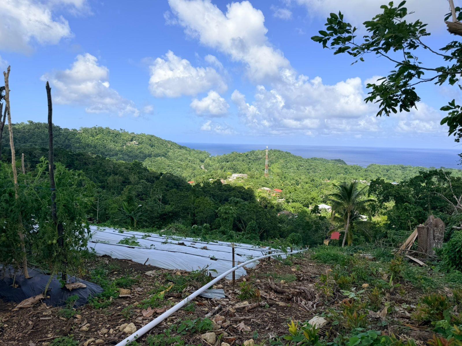 First image of Fairy Hill in Fairy Hill, Portland, Jamaica - property is For Sale