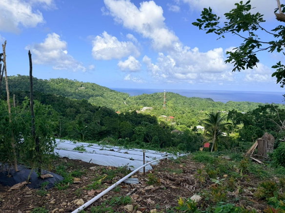 First image of Fairy Hill in Fairy Hill, Portland, Jamaica - property is For Sale