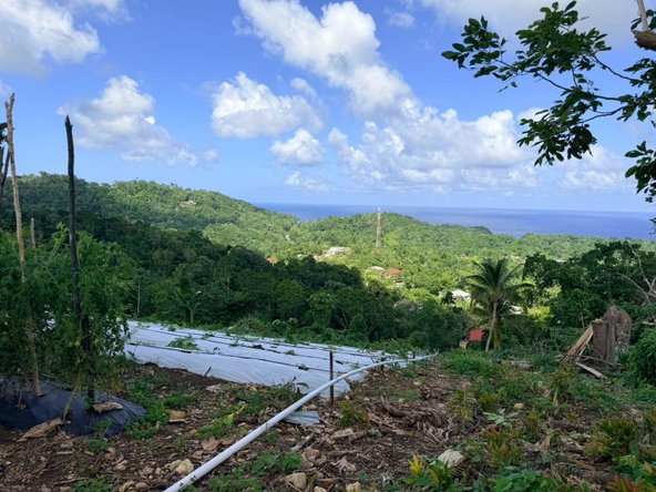 First image of Fairy Hill in Fairy Hill, Portland, Jamaica - property is For Sale