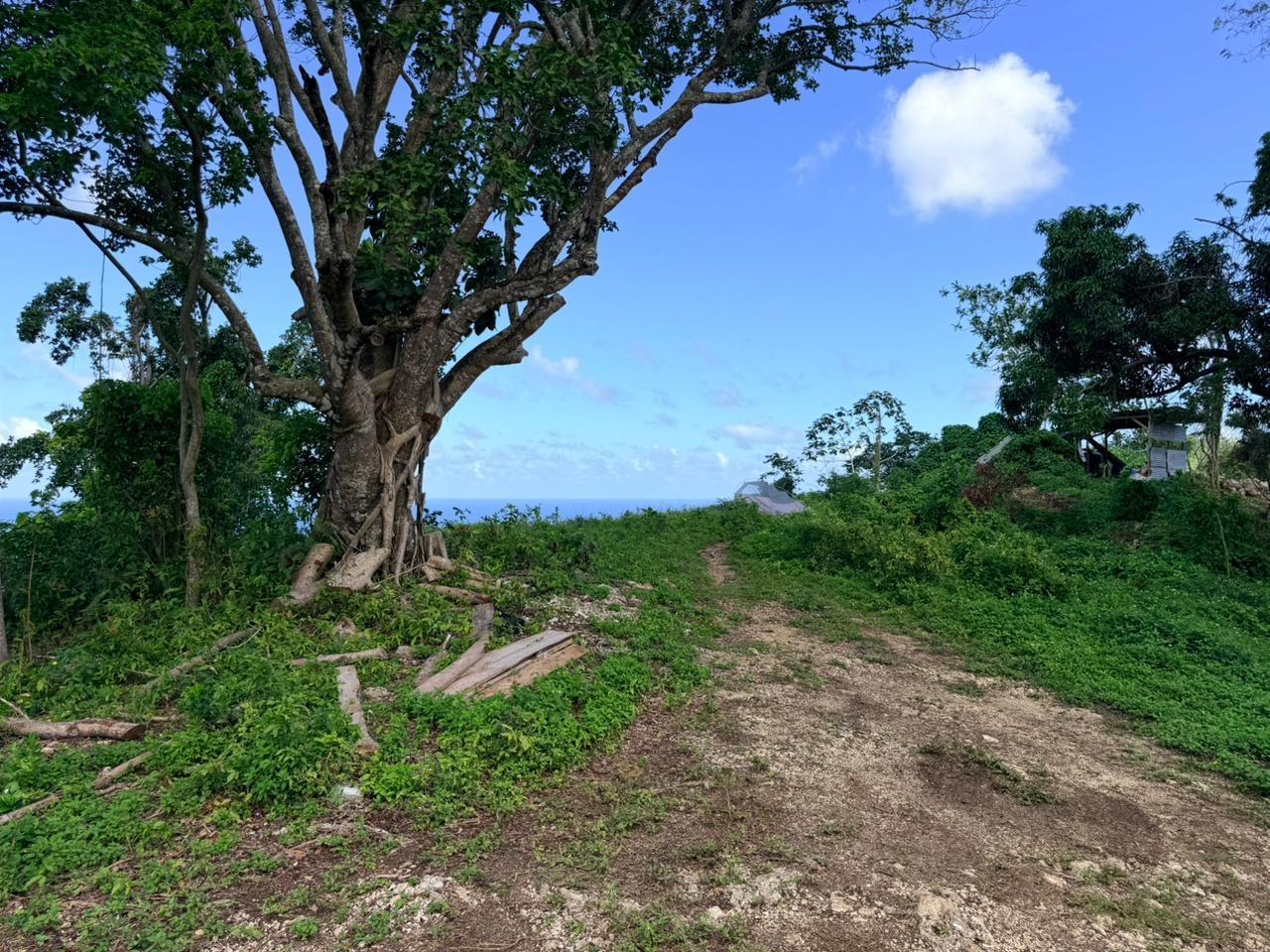 Sixteenth image of Fairy Hill in Fairy Hill, Portland, Jamaica - property is For Sale