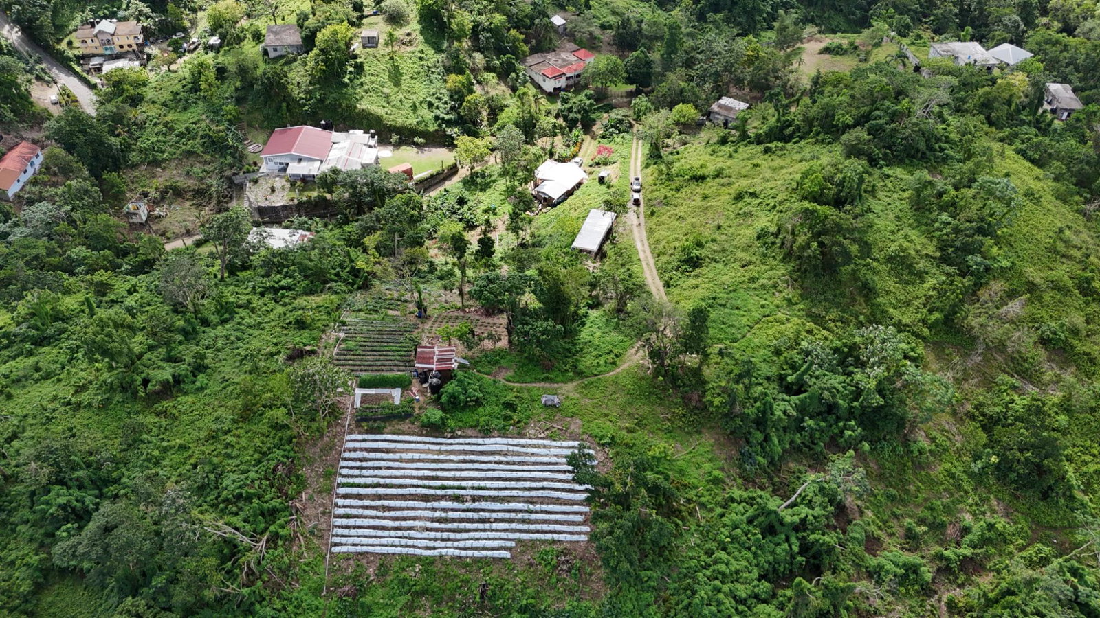 Twentieth image of Fairy Hill in Fairy Hill, Portland, Jamaica - property is For Sale