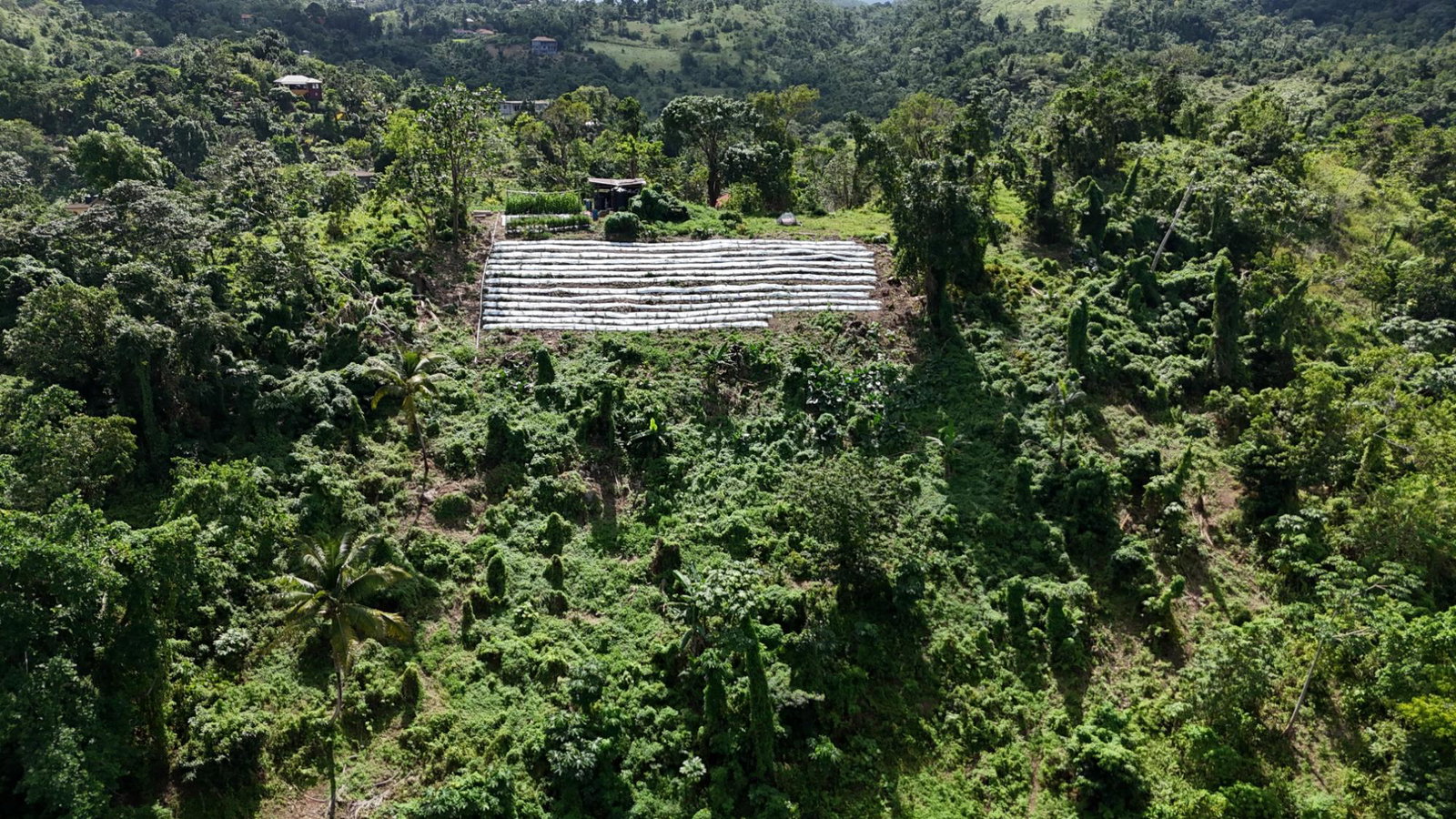 Twenty-First image of Fairy Hill in Fairy Hill, Portland, Jamaica - property is For Sale
