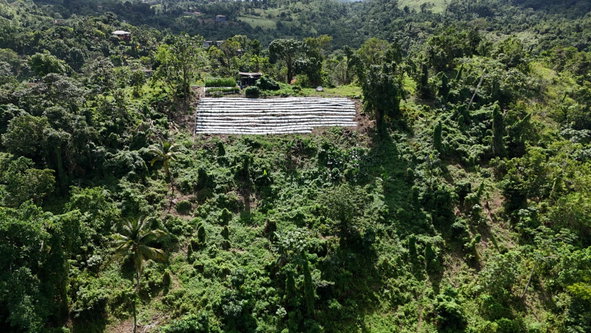 Twenty-First image of Fairy Hill in Fairy Hill, Portland, Jamaica - property is For Sale