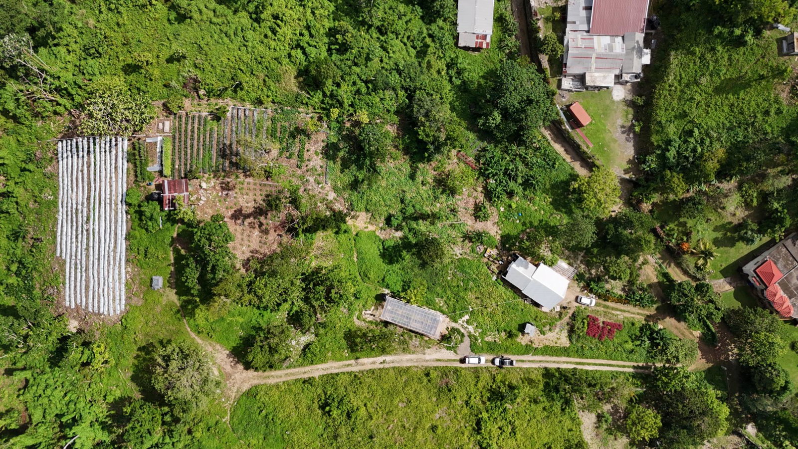 Twenty-Second image of Fairy Hill in Fairy Hill, Portland, Jamaica - property is For Sale