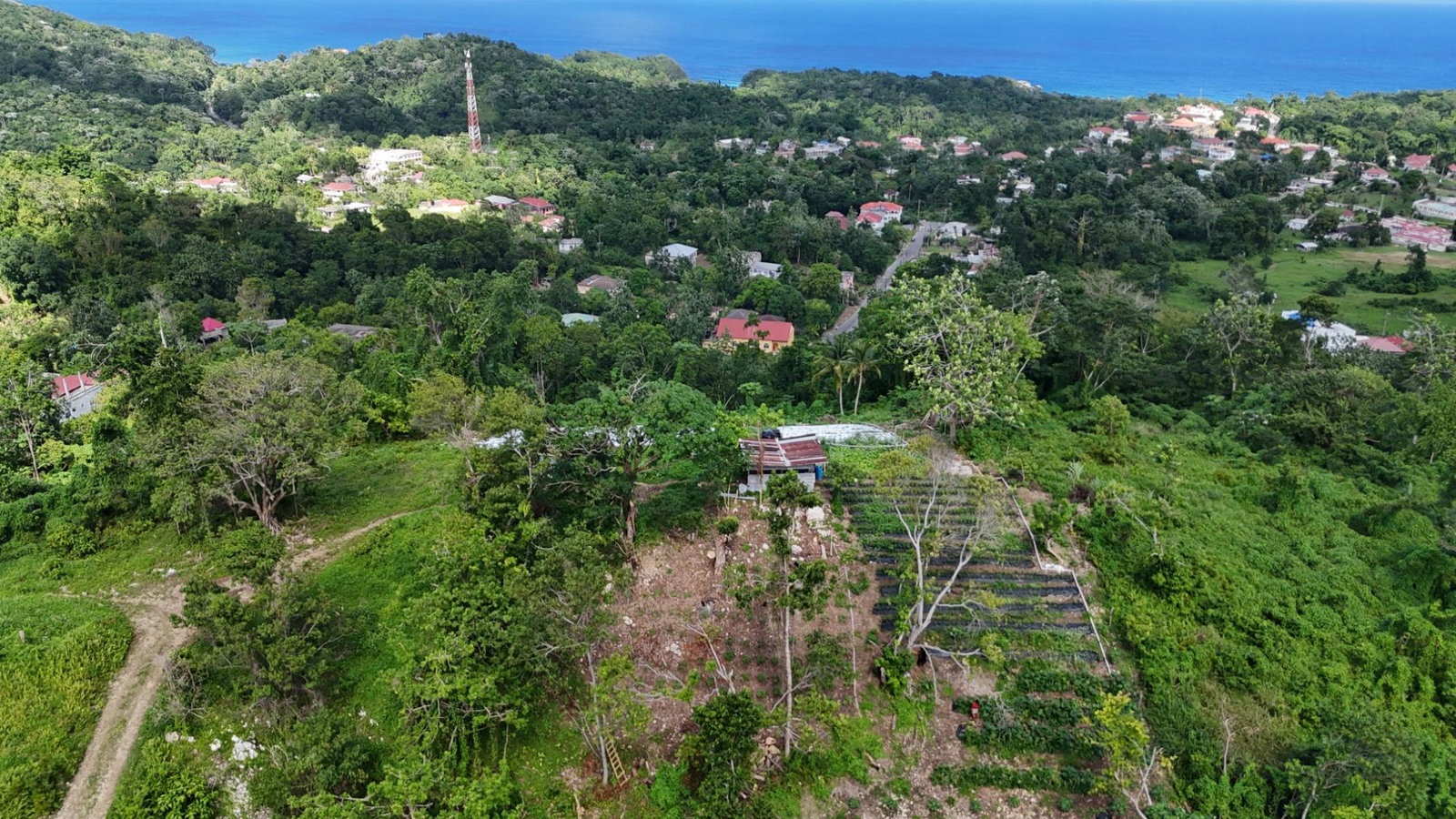 Twenty-Third image of Fairy Hill in Fairy Hill, Portland, Jamaica - property is For Sale