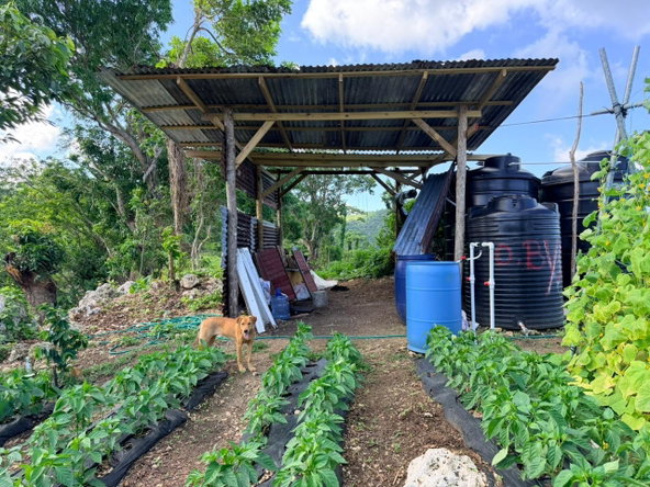 Fifth image of Fairy Hill in Fairy Hill, Portland, Jamaica - property is For Sale