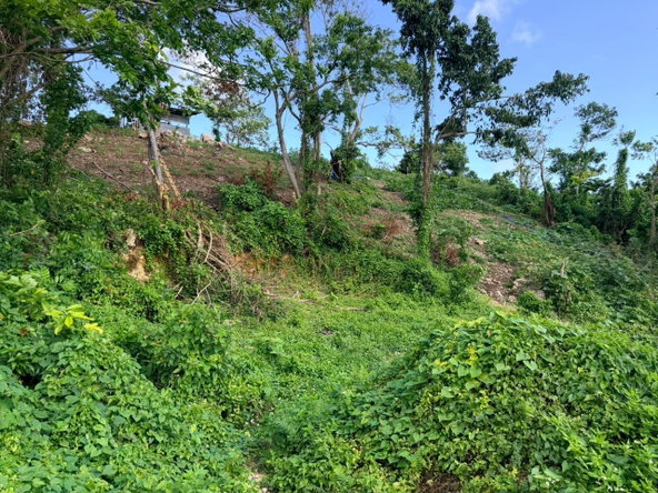 Seventh image of Fairy Hill in Fairy Hill, Portland, Jamaica - property is For Sale