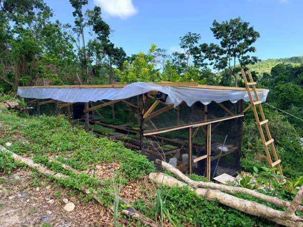 Eighth image of Fairy Hill in Fairy Hill, Portland, Jamaica - property is For Sale