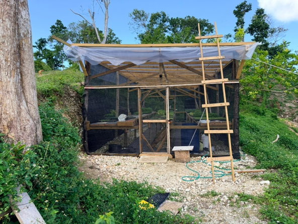 Ninth image of Fairy Hill in Fairy Hill, Portland, Jamaica - property is For Sale