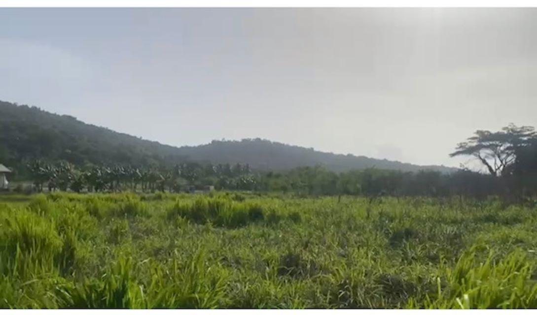 Second image of Water Valley in Albany, St. Mary, Jamaica - property is For Sale