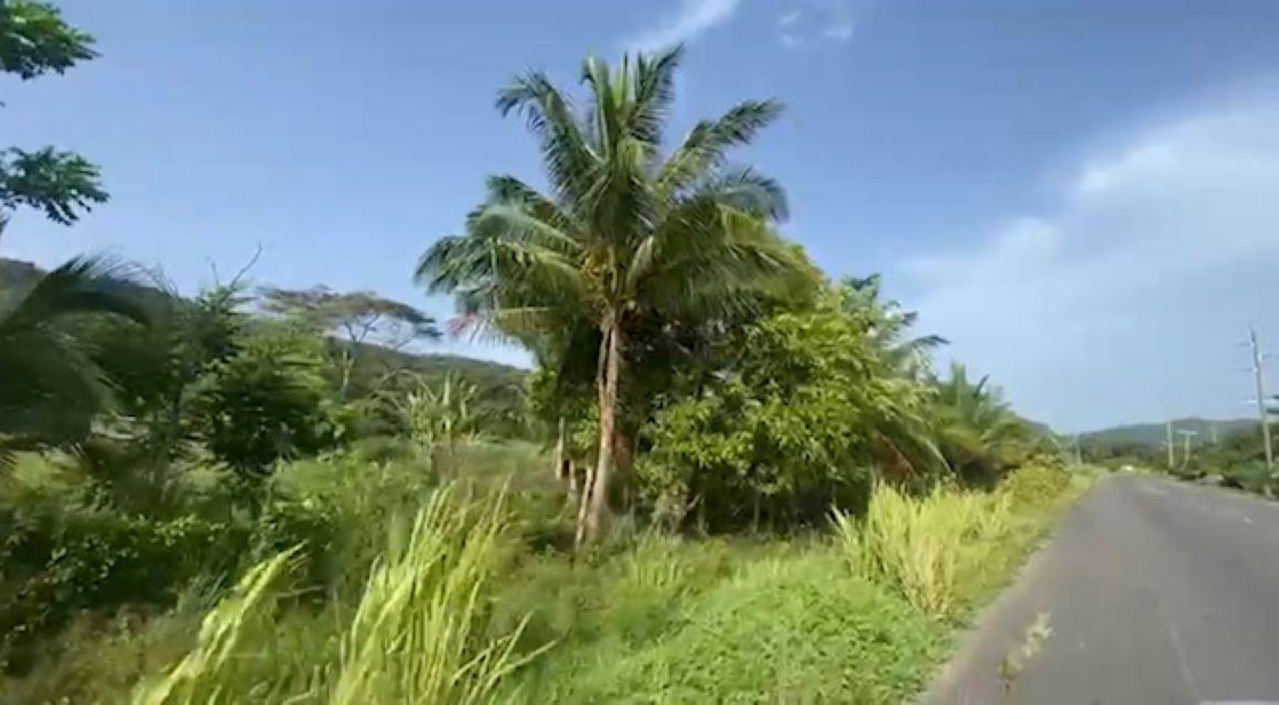 Third image of Water Valley in Albany, St. Mary, Jamaica - property is For Sale