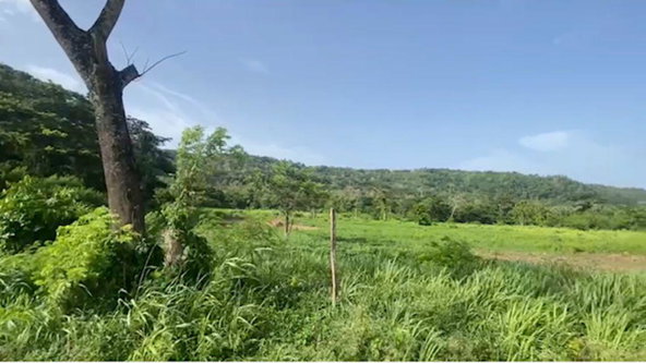Fourth image of Water Valley in Albany, St. Mary, Jamaica - property is For Sale