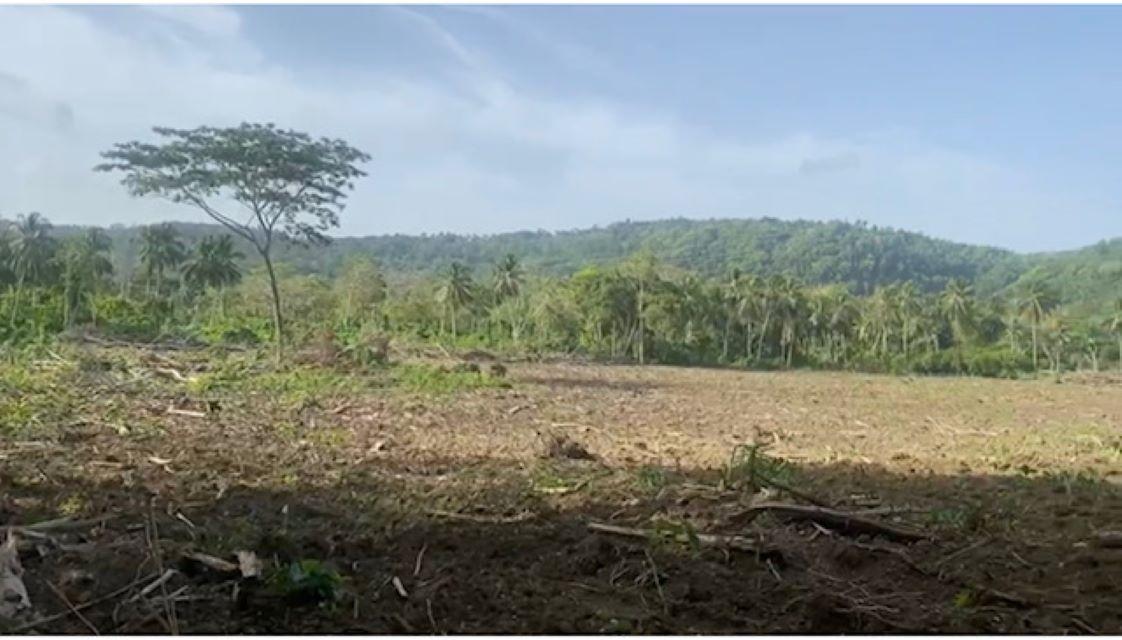 Fifth image of Water Valley in Albany, St. Mary, Jamaica - property is For Sale
