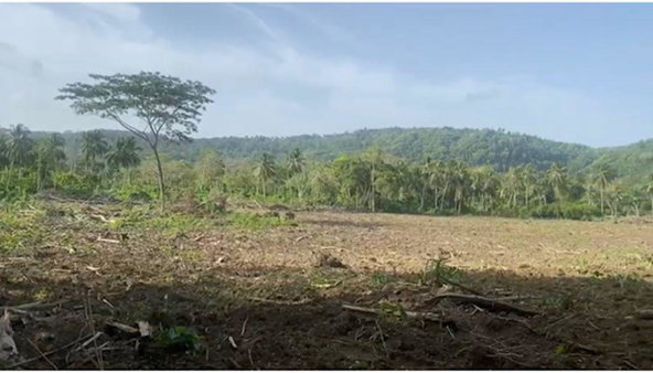 Fifth image of Water Valley in Albany, St. Mary, Jamaica - property is For Sale