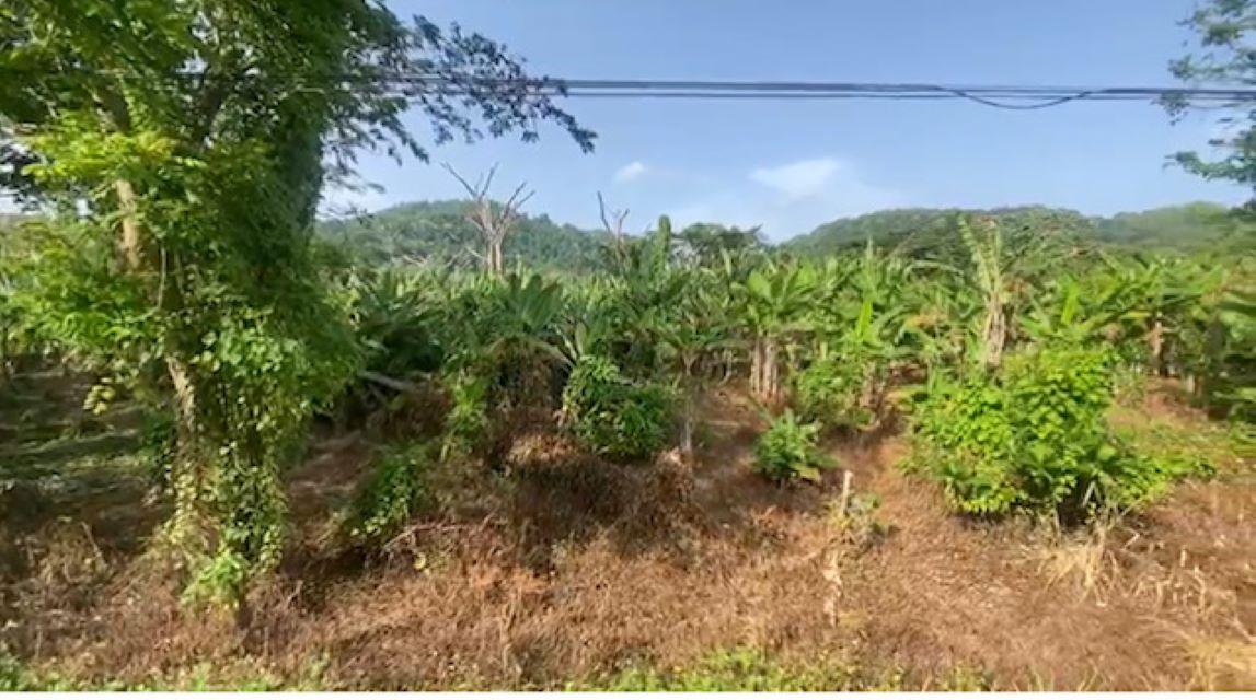 Sixth image of Water Valley in Albany, St. Mary, Jamaica - property is For Sale