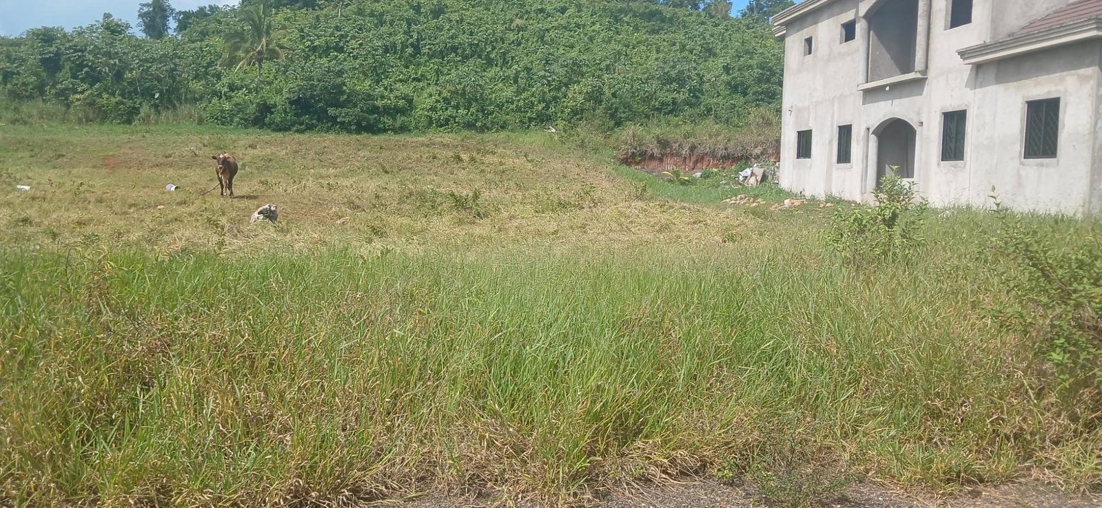 Second image of Lot 4 10 Waltham Road in Mandeville, Manchester, Jamaica - property is For Sale