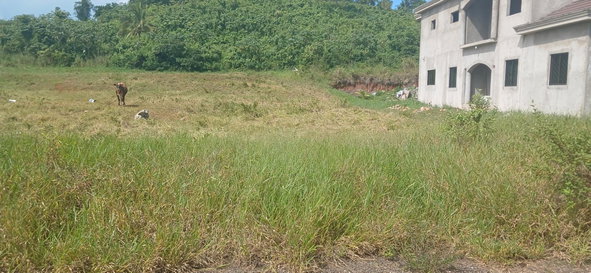 Second image of Lot 4 10 Waltham Road in Mandeville, Manchester, Jamaica - property is For Sale