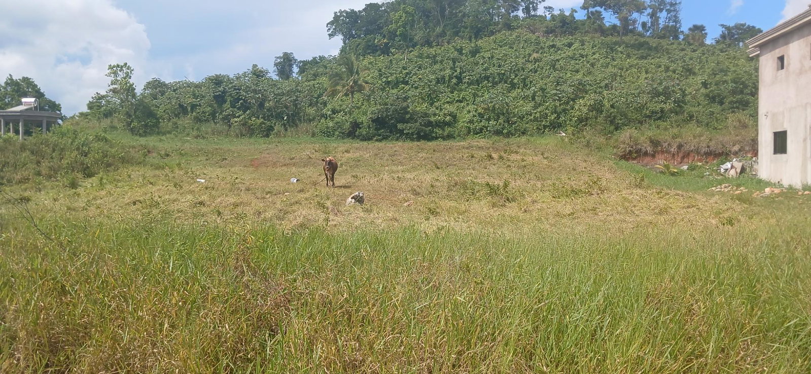 Third image of Lot 4 10 Waltham Road in Mandeville, Manchester, Jamaica - property is For Sale