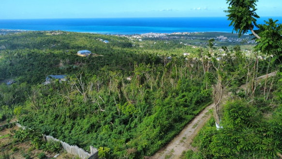 First image of 255- Cardiff Hall in Runaway Bay, St. Ann, Jamaica - property is For Sale