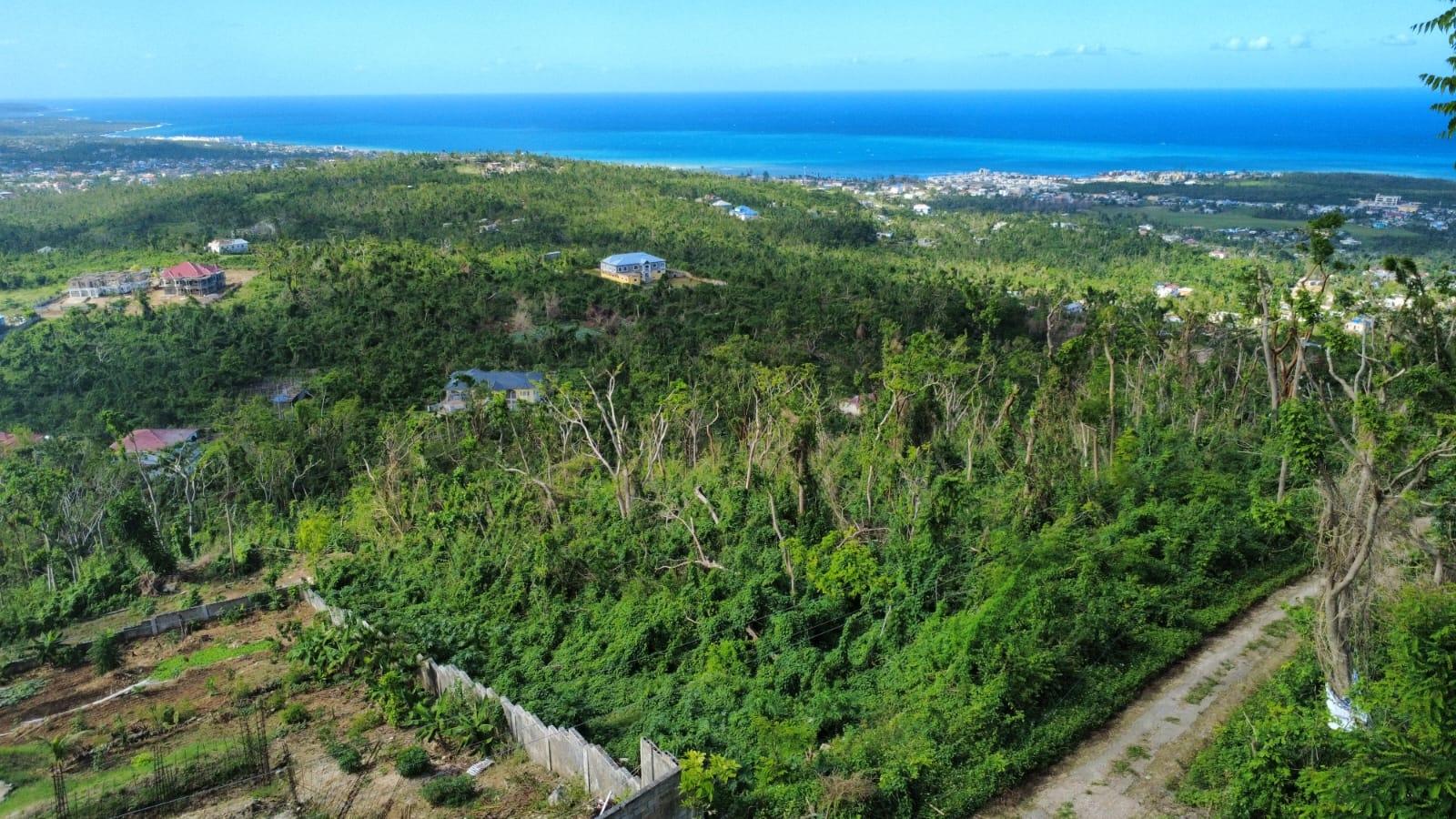 Third image of 255- Cardiff Hall in Runaway Bay, St. Ann, Jamaica - property is For Sale