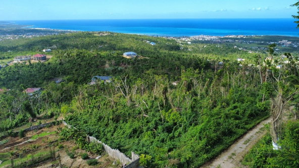 Third image of 255- Cardiff Hall in Runaway Bay, St. Ann, Jamaica - property is For Sale