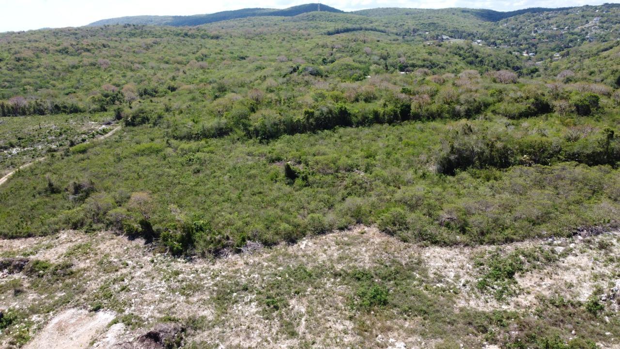 Twenty-Fourth image of Falmouth, Clermont in Falmouth, Trelawny, Jamaica - property is For Sale