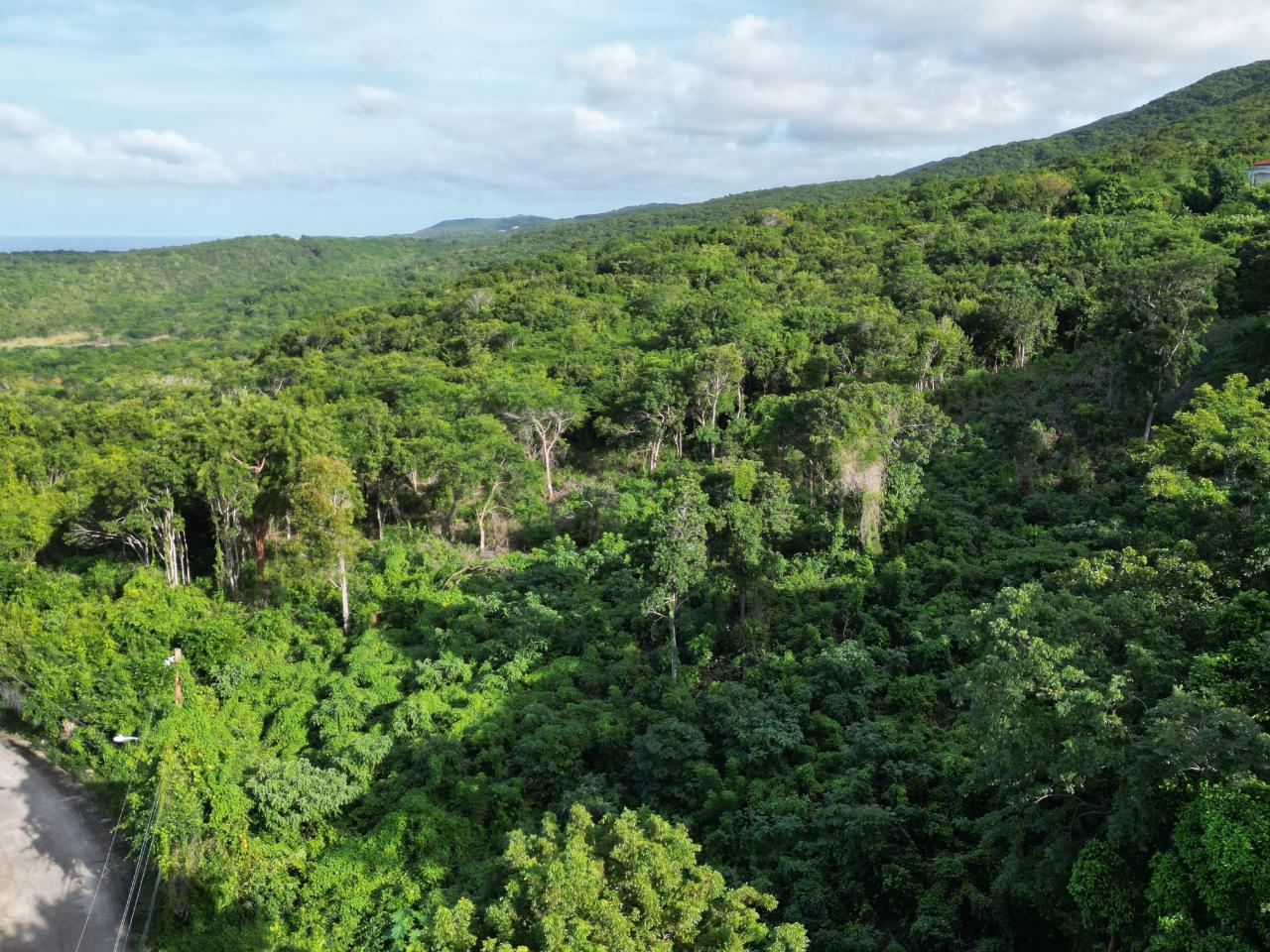 Third image of 155 Spring Farm ,rose Hall in Little River, St. James, Jamaica - property is For Sale