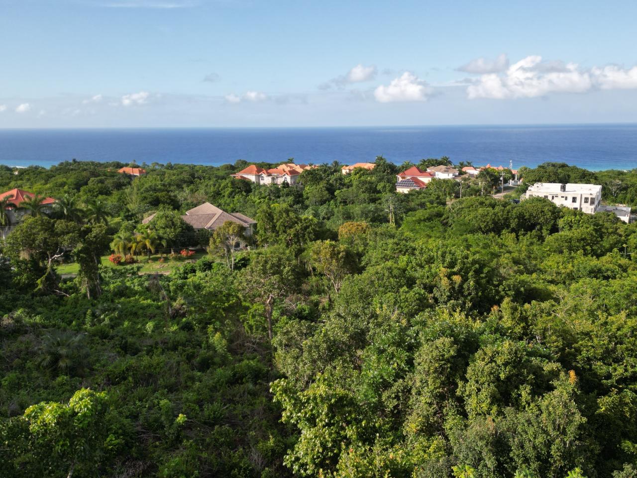 Fifth image of 155 Spring Farm ,rose Hall in Little River, St. James, Jamaica - property is For Sale