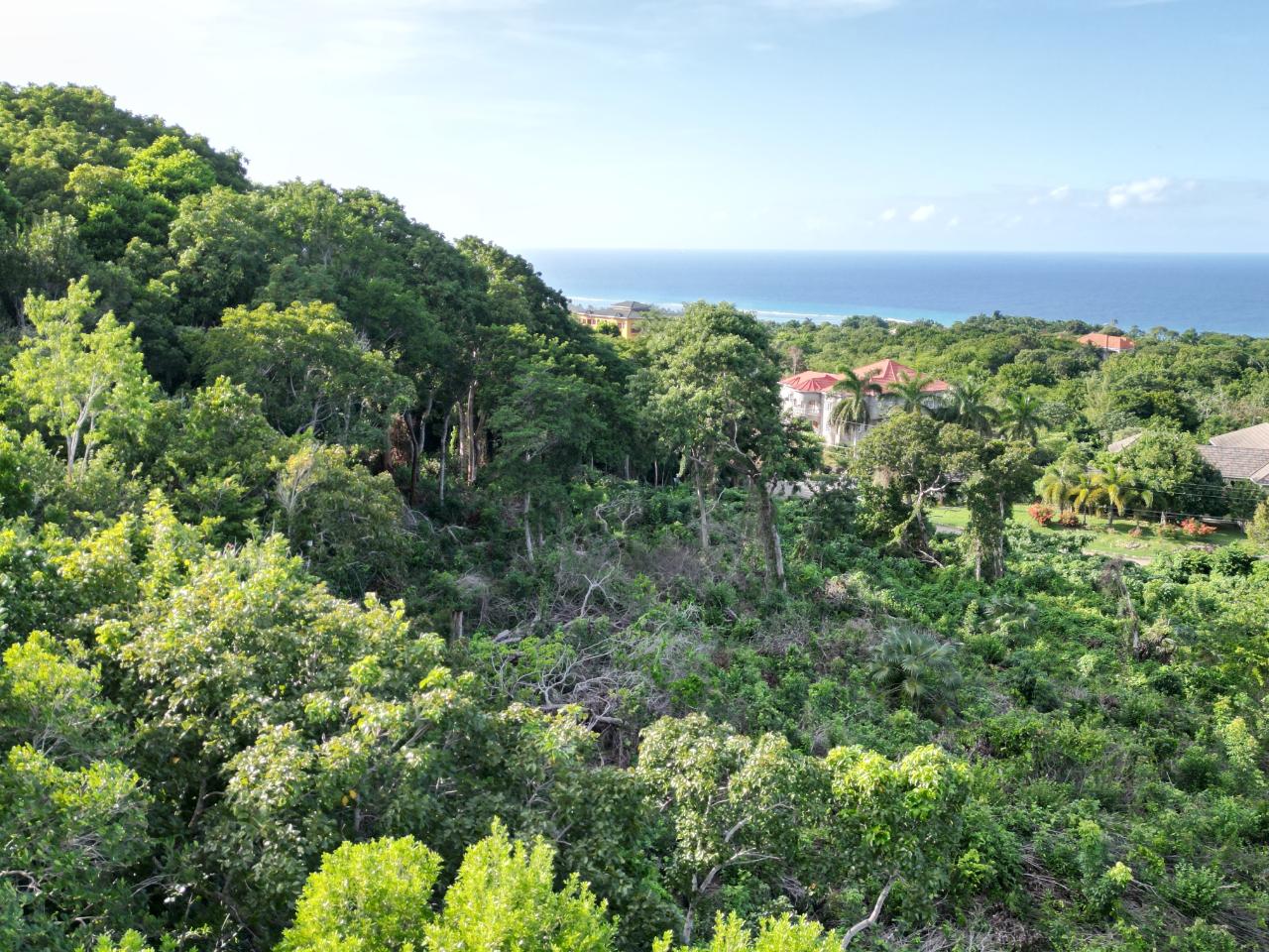 Sixth image of 155 Spring Farm ,rose Hall in Little River, St. James, Jamaica - property is For Sale
