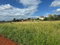 First image of Flagaman, St. Elizabeth in Flagaman, St. Elizabeth, Jamaica - property is For Sale