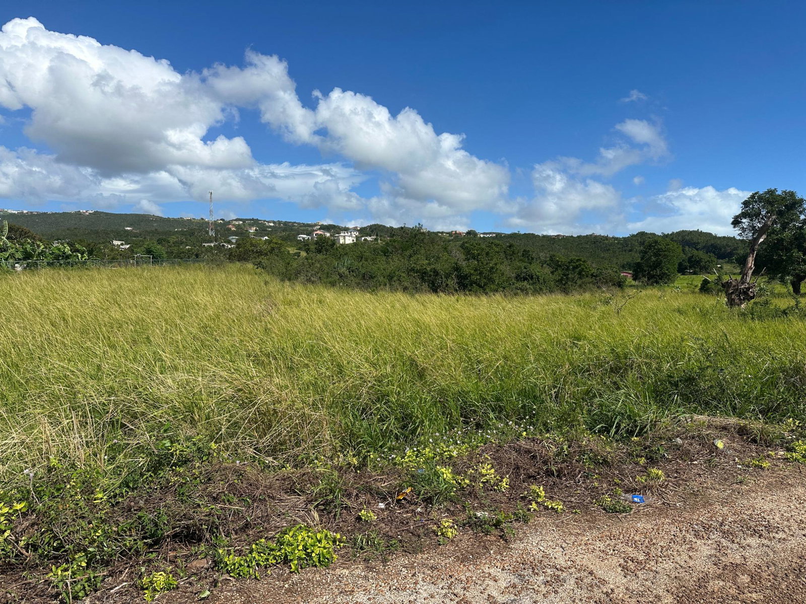 Second image of Flagaman, St. Elizabeth in Flagaman, St. Elizabeth, Jamaica - property is For Sale